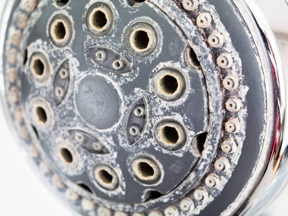 Silver round shower head with hard water deposits all around the sprinklers close up macro side shot isolated against light grey backdrop 2019