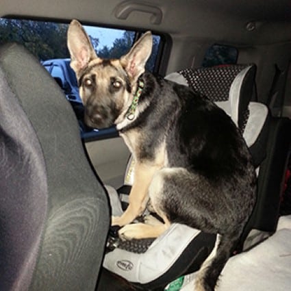 Plumbers in Baltimore MD